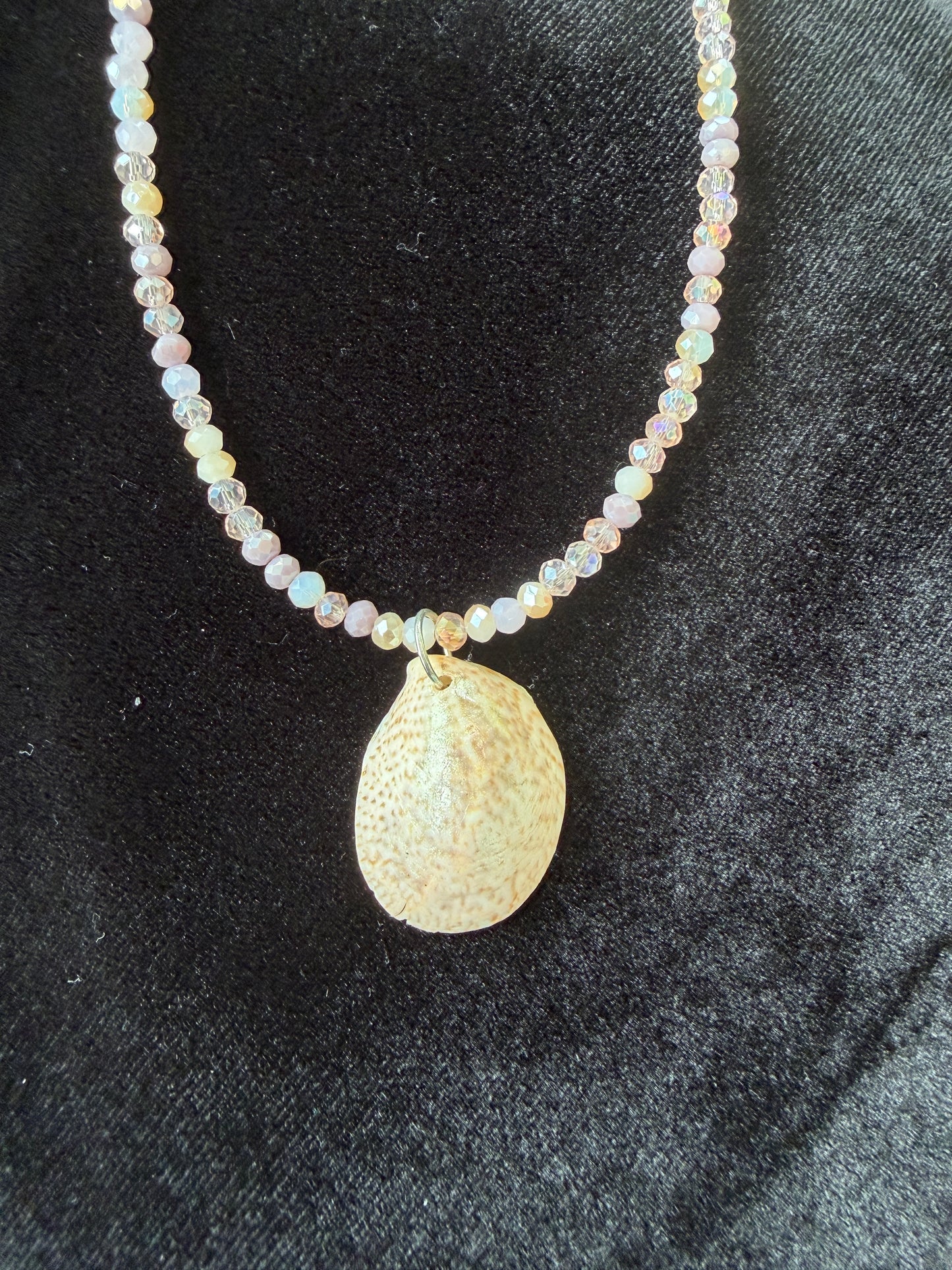 One of a kind cowrie shell necklace