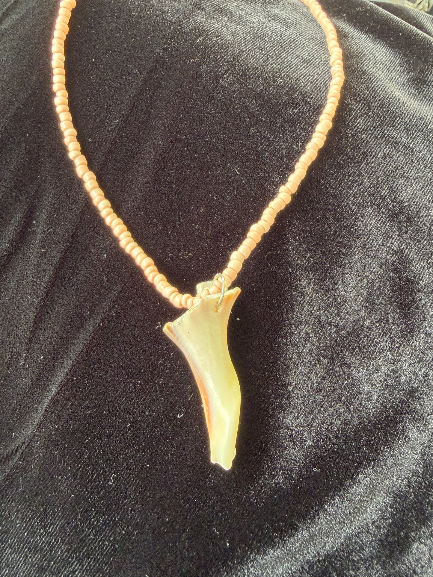 One of a kind Conch piece shell necklace