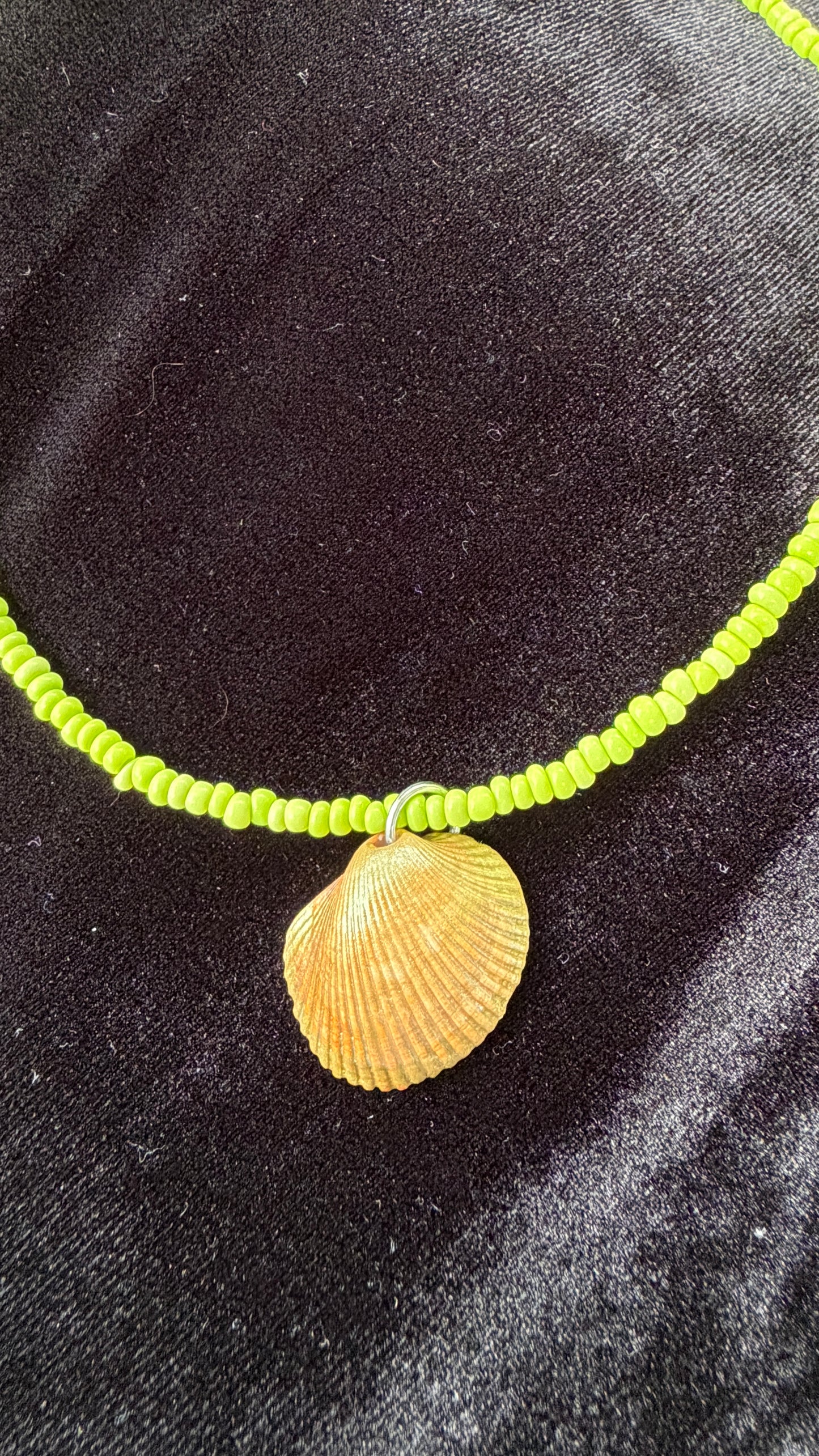 One of a kind Shell necklace