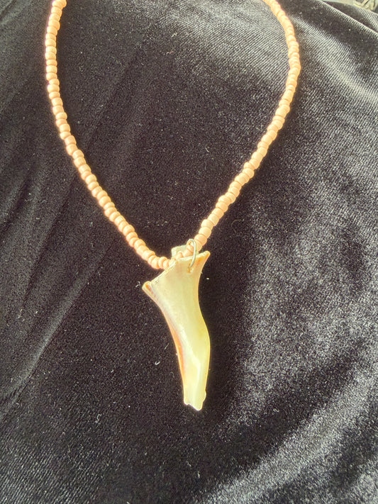 One of a kind Conch piece shell necklace