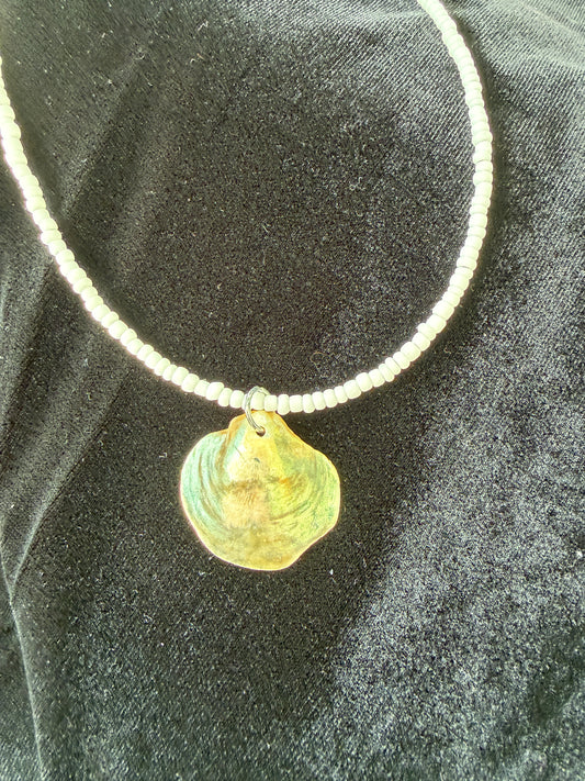 One of a kind Jingle shell necklace